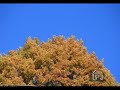 Otoño de la Pernía Otoño de la Pernía