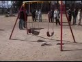 La Hamaca reemplazada se mueve
