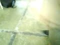 beso de adri y erick58.3gp