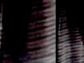 Vid?t (music by Oren Ambarchi) Vid?t (music by Oren Ambarchi)