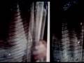 Vidět (music by Oren Ambarchi)
