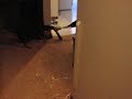 PC070584.MOV