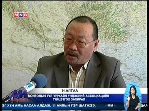Н.Алгаа: Хятадын нүүрс олборлогчид бидний өрсөлдөгчид болж байна