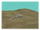How a fossil is made