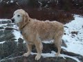 Noreaster arrives in St Johns Jan 272011