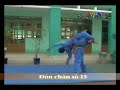 Đòn Chân Tấn Công số 15 - Vovinam Technical Program