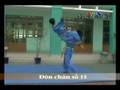 Đòn Chân Tấn Công số 15 - Vovinam Technical Program