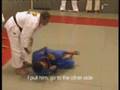 Arte Suave - Royler Gracie