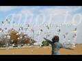 Assistir ao v�deo