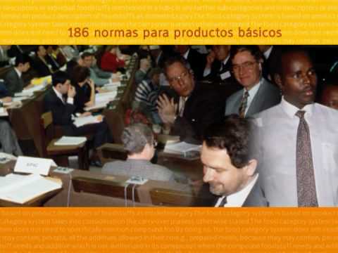 Imagen de previsualización de YouTube