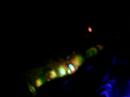 symphomix colima the lysergic orchestra live act 2007
