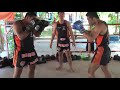 Tiger Muay Thai Techniques: Block body kick, follow with body kick