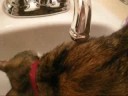 In-sink