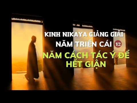 Kinh NIKAYA Giảng Giải - Năm Triền Cái 12 - Năm Cách Tác Ý Để Hết Giận