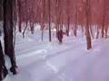 Stowe backcountry ski video