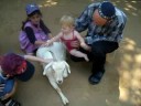 aviyah zoo aviyah zoo