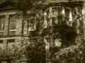 Amy Allison:  Sheffield Streets