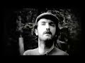 Fields - Brittle Sticks