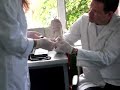 istanbul eczac?l?k farmakoloji lab? fareler