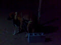 كلاب تتزاوجDogs Stuck Together