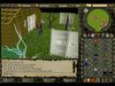 R.I.P: 51ck0_Nicko [27-7-2006 - 26-8-2007]