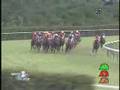 新潟2歳ステークス(Jpn3) エフティマイア