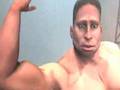 Muscle-Oh-s-Animatio