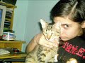 mis gatos /my cats
