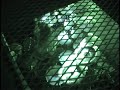 Nile-Blessed Dead (drum shot) Nile-Blessed Dead (drum shot)
