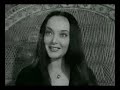 addams family in the chair addams family in the chair