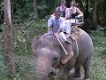 Elephan Trekking - Forest2