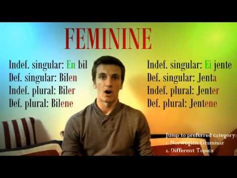 how to learn norwegian