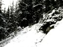 French Creek hike in K Country.