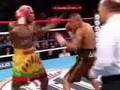 Ferocious Fernando Vargas