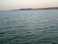 HOW2fish.net Report - Hartwell Striper, March 26, 2008
