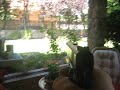 WE M1911 Full Metal