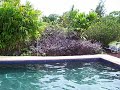 the new reclining bhudda statue by the pool at kalani honua oceanside retreat center