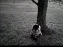 Baha_Siyah A$k_ ( O Kendini Biliyo ) Baha_Siyah A$k_ ( O Kendini Biliyo )