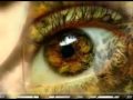 dj darci LEFT SIDE- Gimme Your Love.MPG
