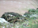 LYIT Impressions of Environment