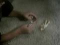 killer toys wrestling sequel