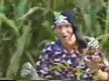 Cornbugs home video clip