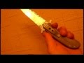 videos de MIKE LAMPREY APPLE SEED DAMA FOLDER
