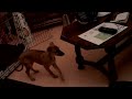 CLIP0023
