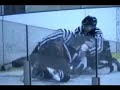 hockey fight