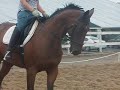 Cavan on 9/6/08