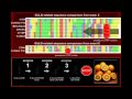 Vitamin C And Common Ancestry