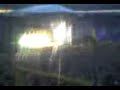 Red Hot Chili Peppers Play London Calling (Bad Quality) Red Hot Chili Peppers Play London Calling (Bad Quality)