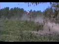 Spring 1993 - Hannegan Playday
