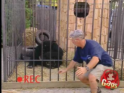 Gorilla Hug